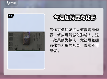 鬼谷八荒🔥龙祖灵息秘境打法攻略来啦！截图2
