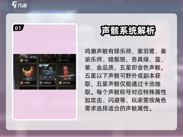 鸣潮五星声骸全解析🔥超详细攻略不容错过！截图2