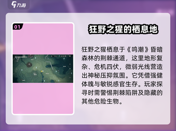 鸣潮🔥狂野之猩隐藏位置大曝光！🎉截图2