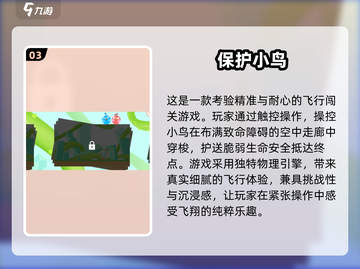 🔥2025最火小鸟游戏大揭秘！🎮截图4