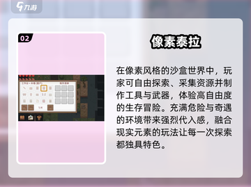 🔥泰拉瑞亚竟来自这个国家？🎮截图3