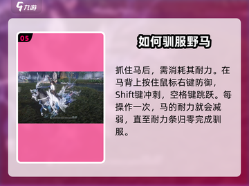 燕云十六声🔥抓马攻略：快速抓捕马匹💡截图6