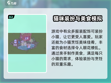 猫咪和汤🔥公测时间曝光！游戏上线倒计时🎉截图3