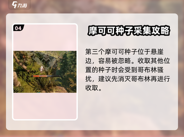 命运方舟哥布林岛🔥摩可可种子位置大曝光！快来看👀截图5