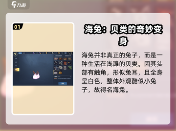 🎮《黎明之海》白海兔爆率UP！速看获取攻略截图2