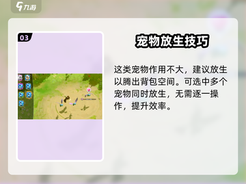 万龙觉醒🔥宠物放生技巧大揭秘！💡截图4