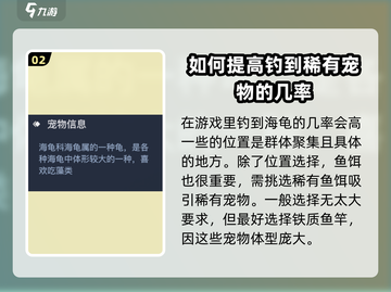 黎明之海绿海龟宠物获取🔥超详细攻略来啦！🐢截图3