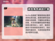 怪物猎人：荒野艾露猫🔥超全介绍来啦！截图2