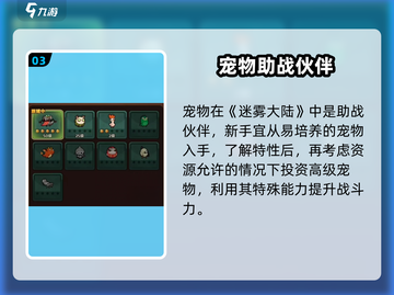 迷雾大陆🔥前期必备攻略，新手必看！游戏技巧大公开✨截图4