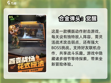 🔥2025必玩双人局域网游戏合集🎮截图6