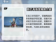 卡拉彼丘必玩角色🔥游戏高手都在用！截图2