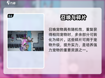 奥丘树海宠物碎片大揭秘🔥截图3