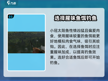 钓鱼星球🌟小冠太阳鱼钓法大公开！新手必看🔥截图4