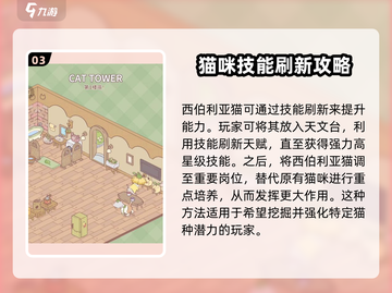 猫咪和汤西伯利亚猫🔥养成秘籍，游戏爱好者必看！🎮截图4