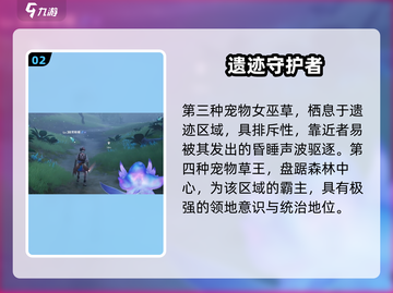 伊莫手游迷雾森林宠物大揭秘！🌿🐾新开传奇必看截图3