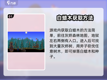 泰拉瑞亚🔥白蜡木获取秘籍，轻松搞定资源采集！截图2