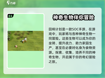 回响计划🔥公测时间曝光，上线倒计时🎉截图4