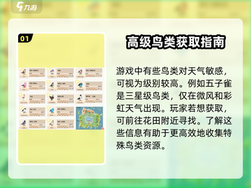 心动小镇🔥最高级鸟类大揭秘！鸽子还是孔雀？截图2