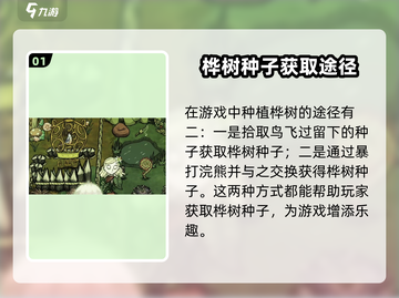 饥荒新家园🔥营地种桦树居然这么强！新手必看💡截图2