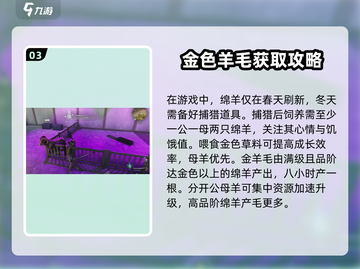七日世界金羊毛🔥超详细攻略来啦！🎮截图4