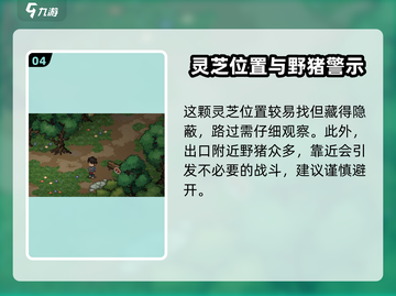 大侠立志传🔥迷踪林灵芝位置全揭秘！💡截图5
