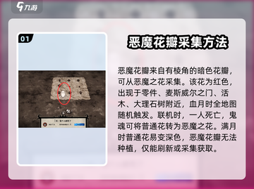 饥荒新家园🔥恶魔花瓣获取&使用全攻略！ petals⚡截图2