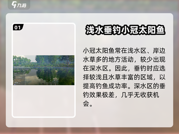 钓鱼星球🔥小冠太阳鱼垂钓秘籍✨截图2