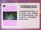 阴阳师：龙息神寂毒系阵容🔥最强搭配✨截图4