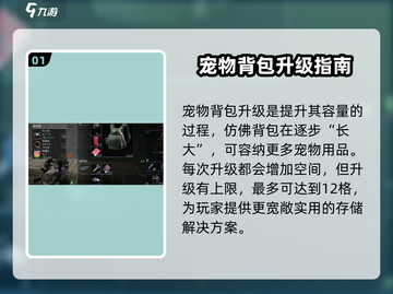萤火突击💡宠物背包升级秘籍，快速提升战力！截图2