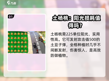 植物大战僵尸：土杨桃杂交版🔥超好用作用大揭秘！截图2