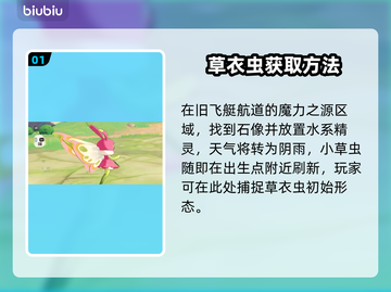 洛克王国草衣虫神进化🔥截图2