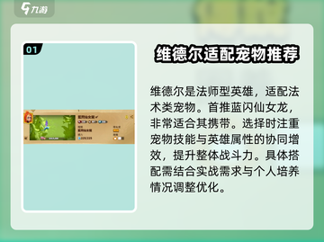万龙觉醒🔥维德尔宠物最强选择攻略来啦！截图2