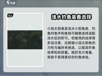 钓鱼星球💥小冠太阳鱼钓法分享🐟截图3
