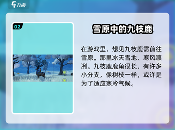 创造吧我们的星球💥梅花鹿隐藏地点大曝光！🦌截图3