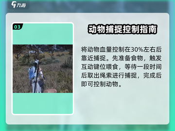 七日世界🔥捕捉动物超全方法大公开！🎮截图4
