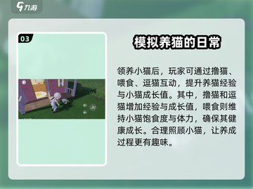 心动小镇🐱养猫攻略，萌宠养成秘籍来了！截图4