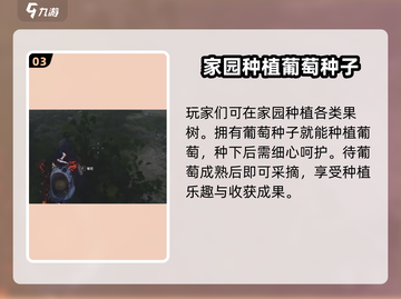 《七日世界》葡萄获取全攻略✨，玩家必看！截图4