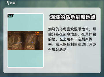 🔥《潜水员戴夫》燃烧的乌龟捕捉秘籍🐢截图3