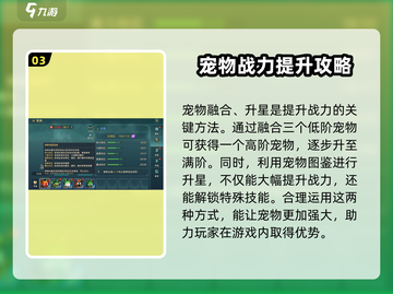 魔力宝贝复兴版🔥宠物实力飙升秘籍💡截图4