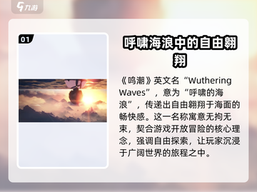 鸣潮英文名曝光！💥超燃游戏介绍来啦🎉截图2