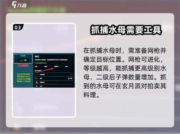 潜水员戴夫🔥澳洲斑点水母获取攻略💎截图4