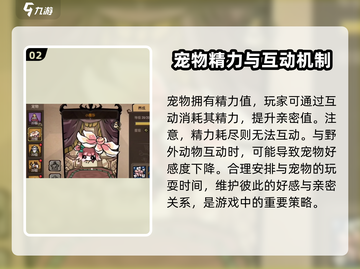 饥荒新家园宠物好感度爆增秘籍🔥宠物快乐so easy！截图3