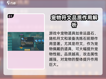 魔力宝贝复兴📖宠物道具全攻略！🔥宠物养成必备✨截图2