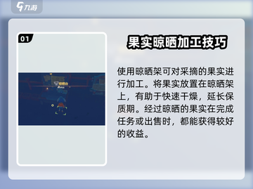 《波西亚时光》🔥晾晒架全解析，功能作用一网打尽！截图2
