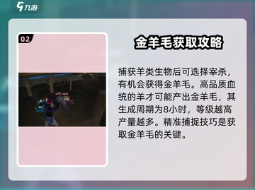 七日世界金羊毛获取攻略🔥超详细解析🎮截图3