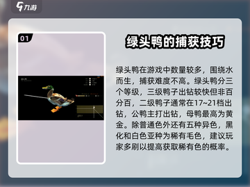 猎人之路🔥绿头鸭抓捕地点大揭秘！🦆截图2