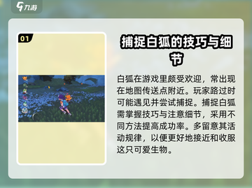 洛克王国⚡世界捕捉白狐超全攻略来啦！截图2
