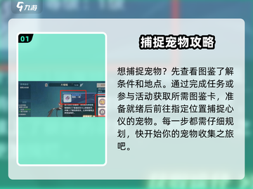 魔力宝贝复兴版🔥抓宠必备道具大揭秘！截图2