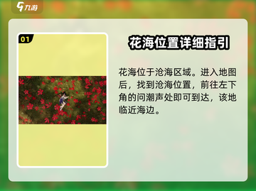 《扶摇一梦》🌸隐藏花海位置大曝光！快来看🔥截图2