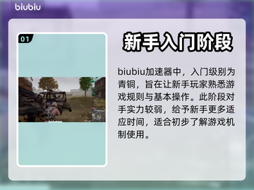 PUBG玩家必看🔥等级图标大揭秘！💎截图2
